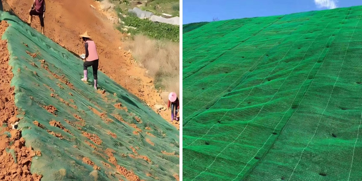 الجيومات والنباتات: إنشاء منحدرات خضراء مستدامة