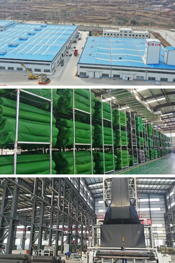 الجيومات والنباتات: إنشاء منحدرات خضراء مستدامة